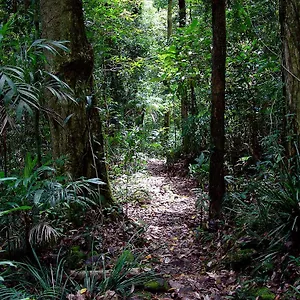 https://springbrook-lyrebird-retreat.queenslandhotels.net
